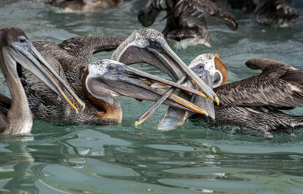 Photograph by Marina Mikhova