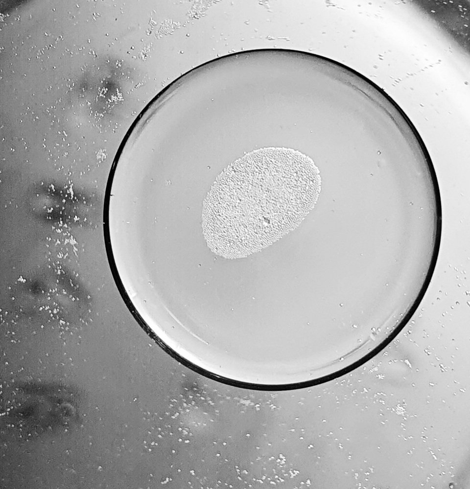 Photograph by Егор Кондратов