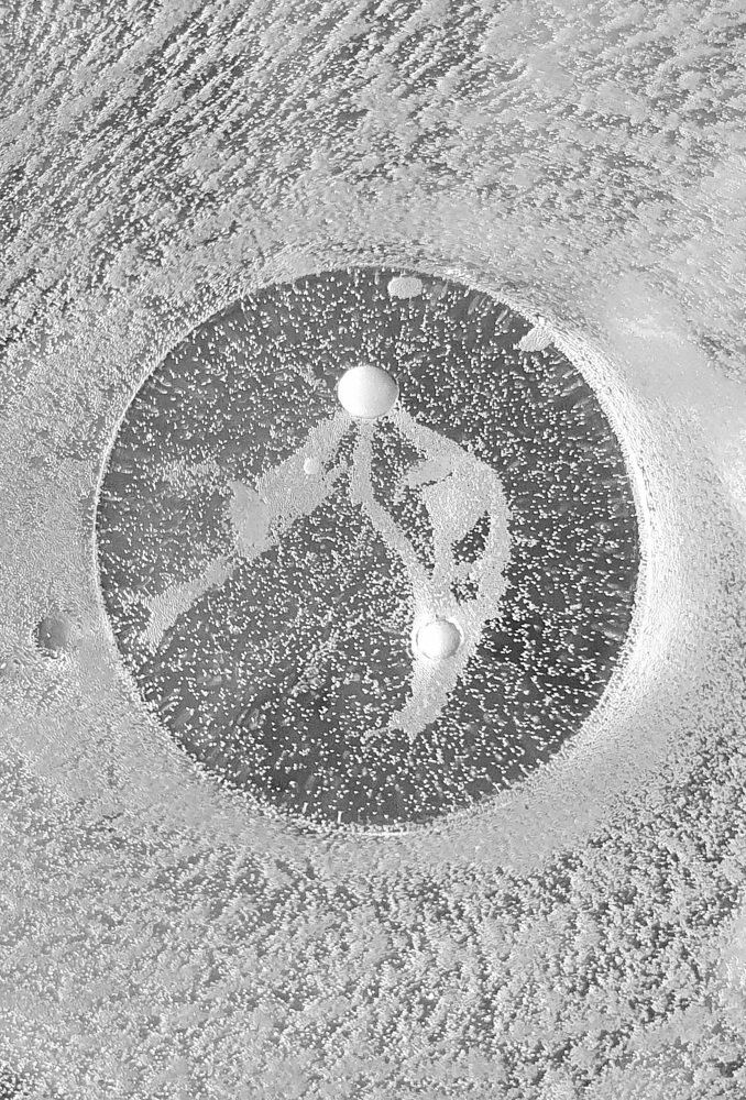 Photograph by Егор Кондратов