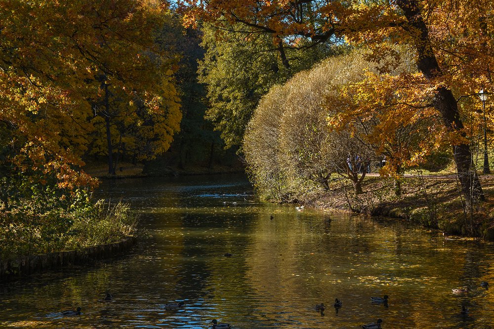 Photograph by Сергей Духанин