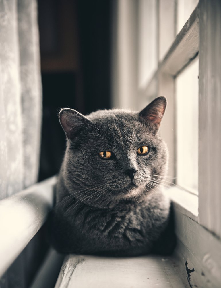 Photograph by Егор Кондратов