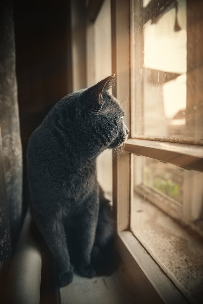 Photograph by Егор Кондратов