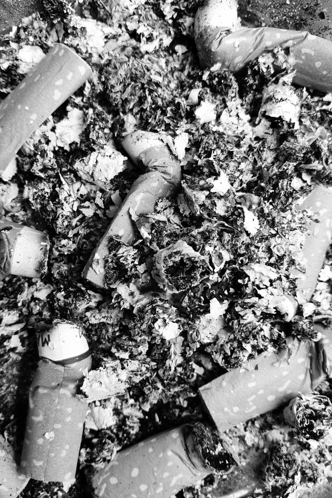 Photograph by Егор Кондратов