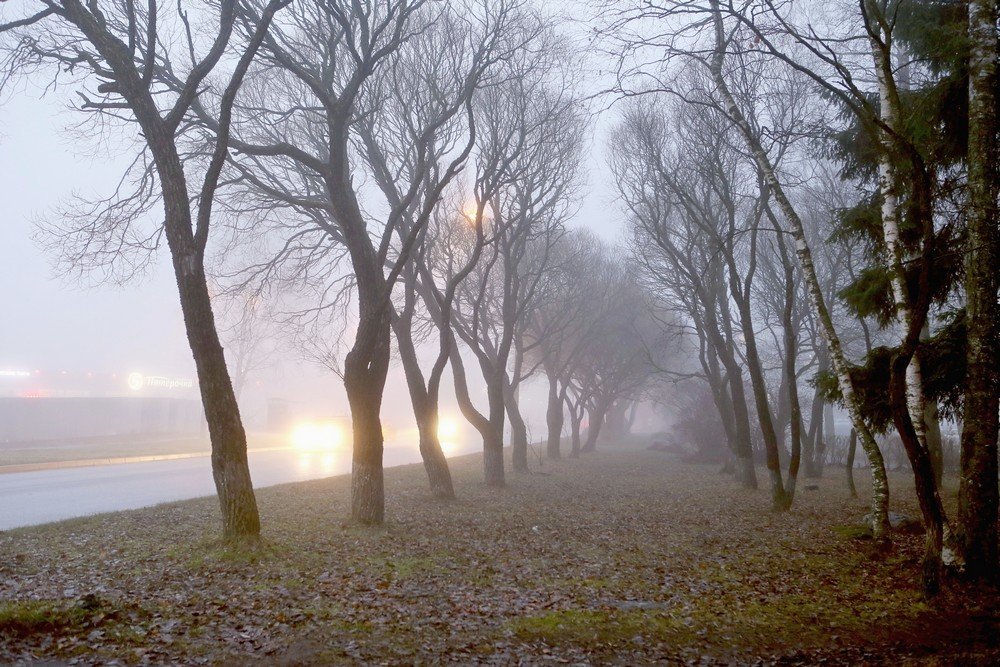 Осенний туман.