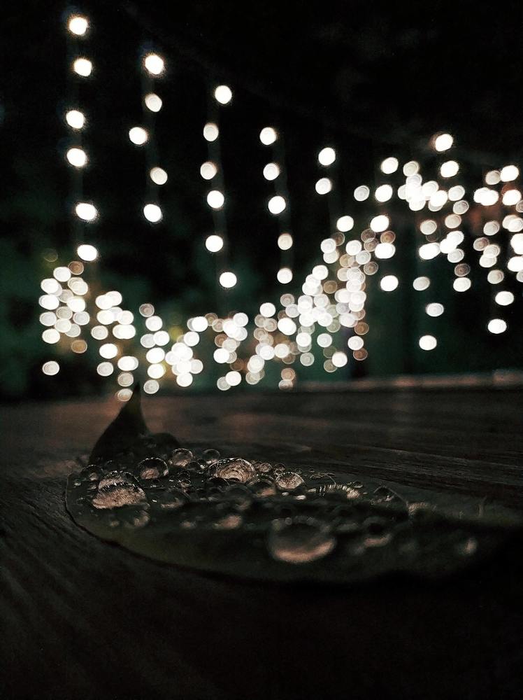 Photograph by Elishaya Muntean