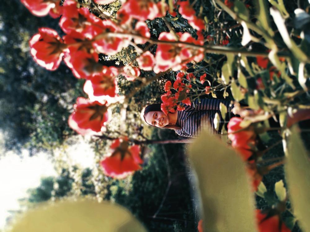 Photograph by Elishaya Muntean