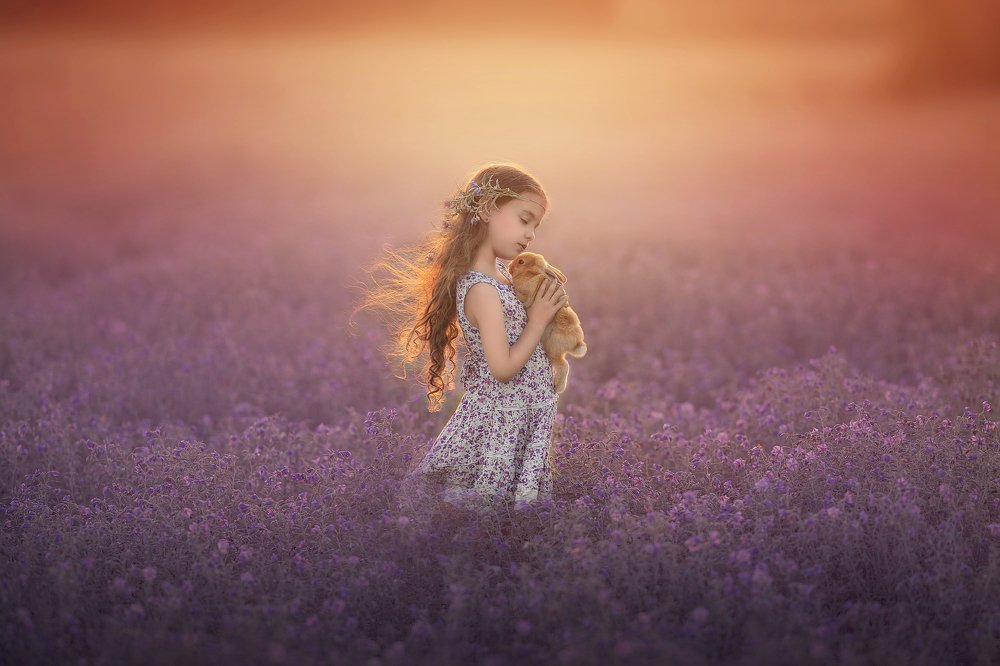 Photograph by sara ashkenazi