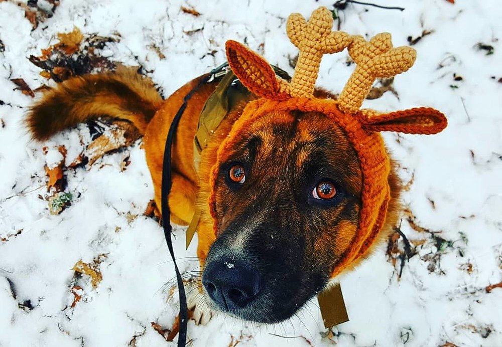 Photograph by Екатерина Маградзе