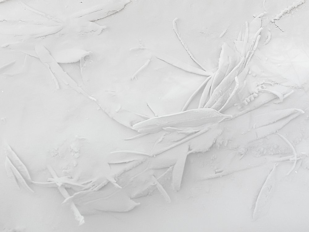 Photograph by Ольга Мусиенко