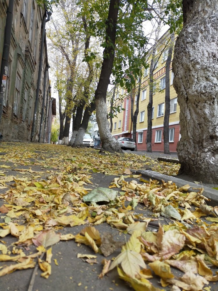 Photograph by Алена Агафонова