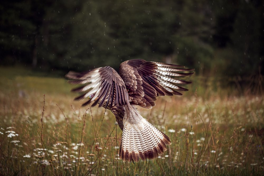 Фотография автора Ana Verdugo