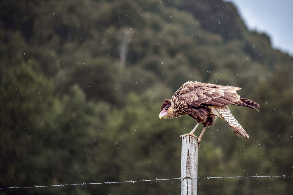 Фотография автора Ana Verdugo