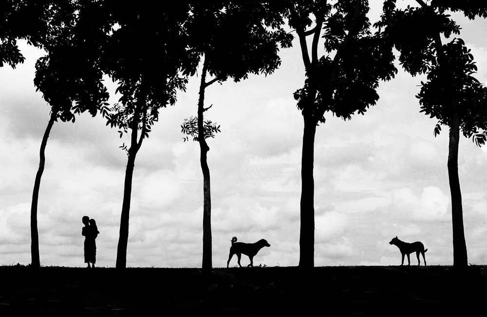 Photograph by Saqlain Rizve