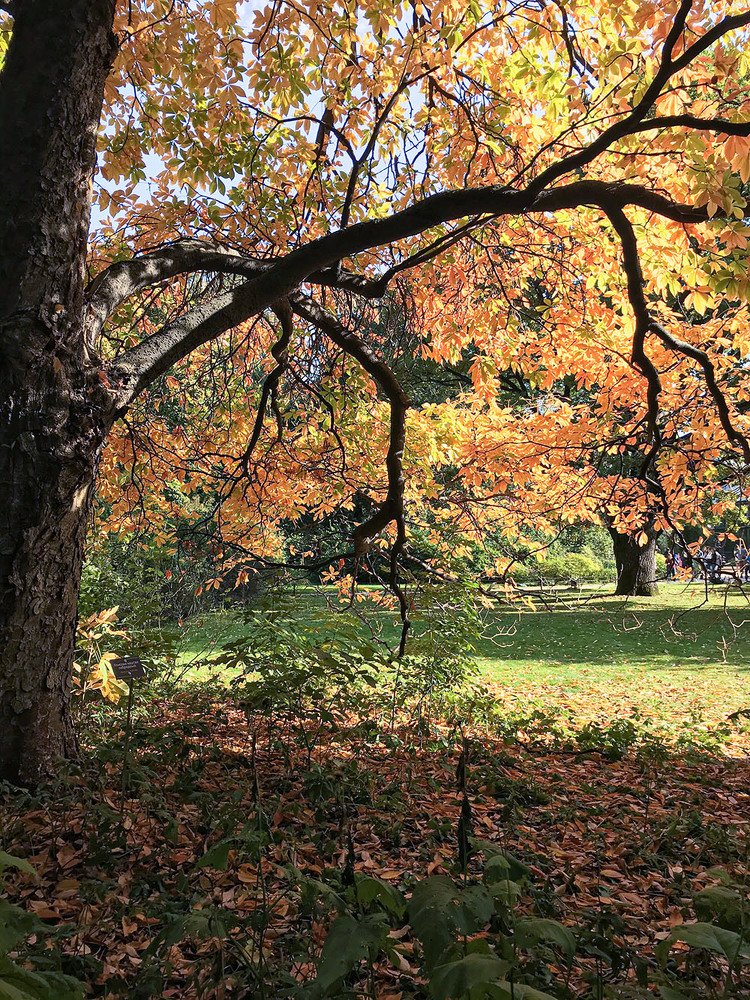 Photograph by Корженевская Лариса Анатольевна