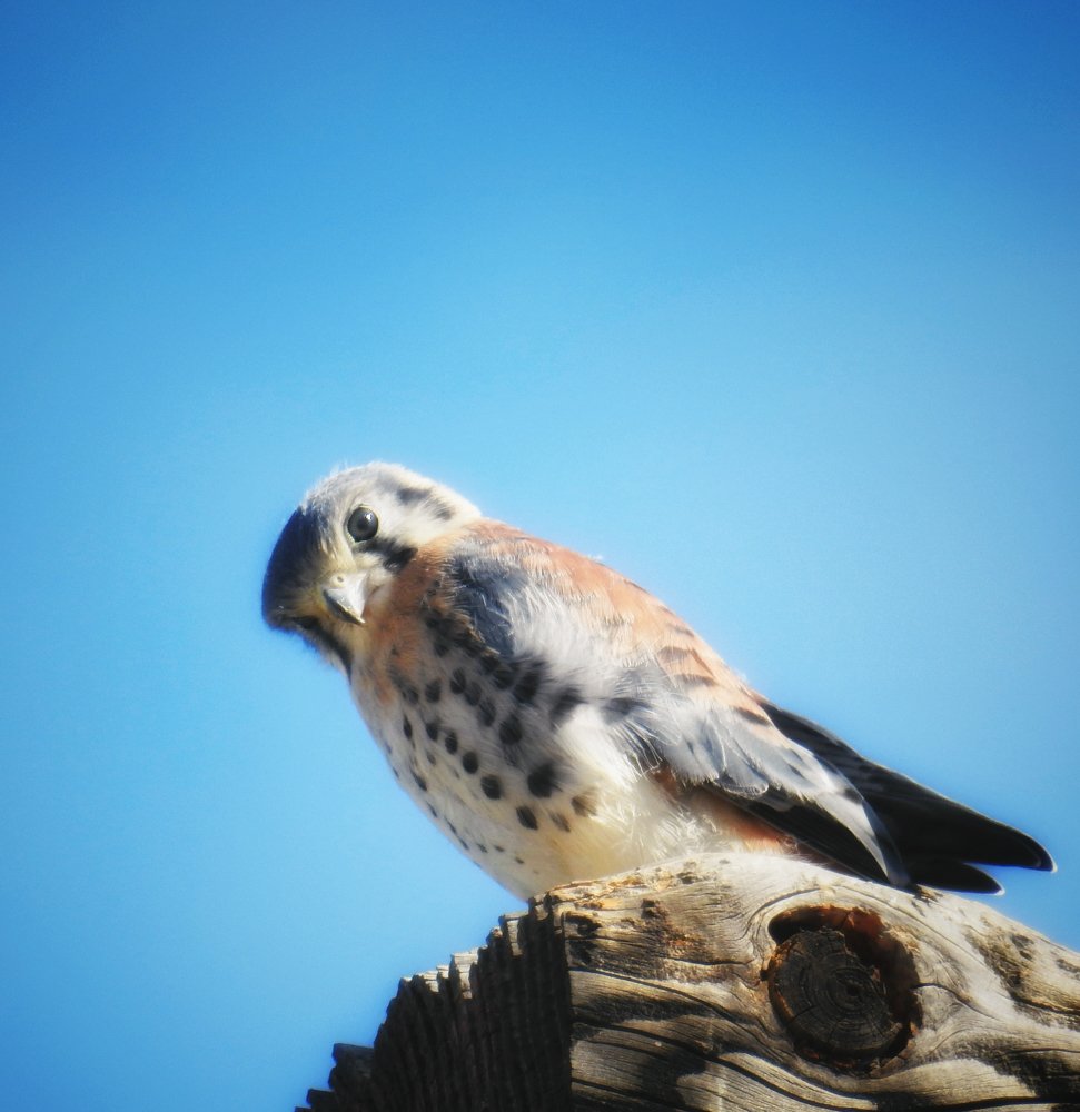 Фотография автора Gabriela Bonilla