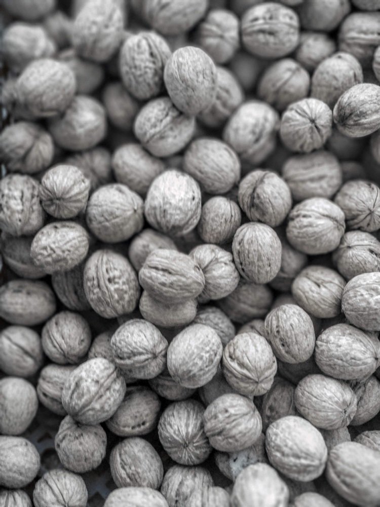 Фотография автора Романов Никита