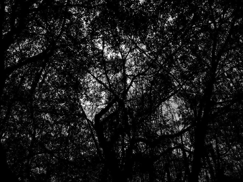 Shades of Grey
