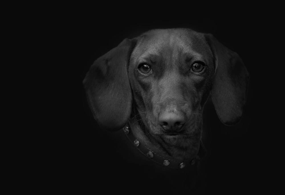 Photograph by Ricardo Sanchez Ruiz