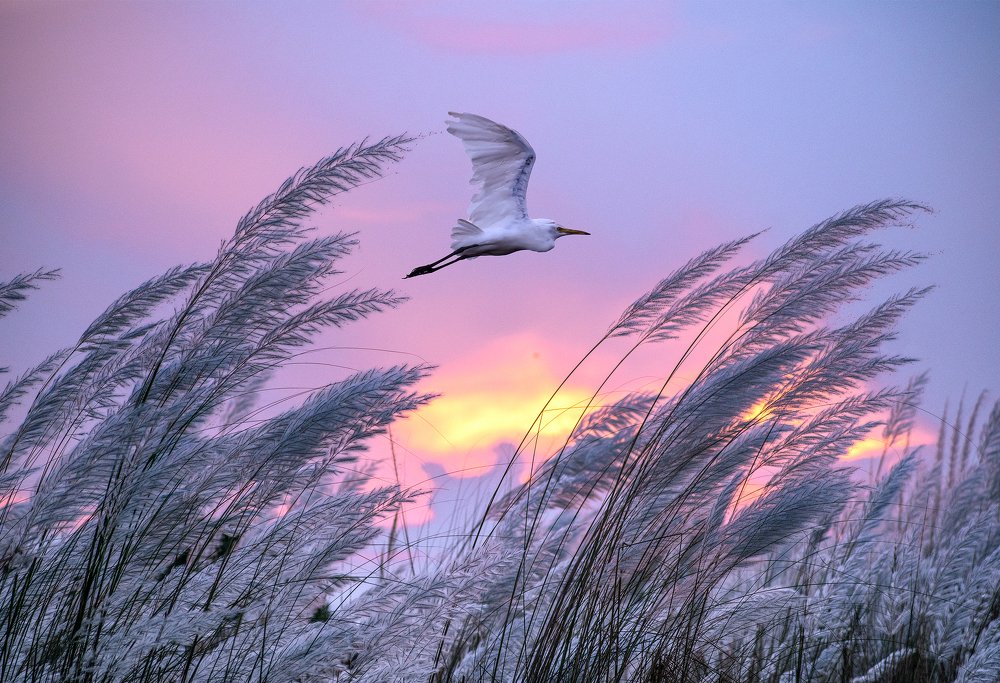 Photograph by Asamanj Maiti