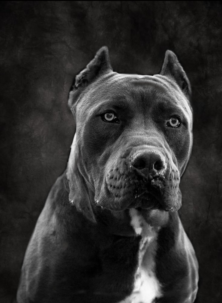 Photograph by Ricardo Sanchez Ruiz