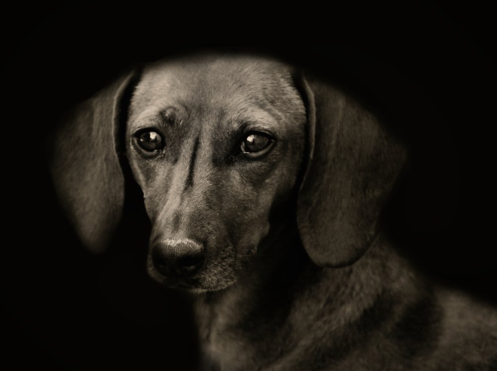 Photograph by Ricardo Sanchez Ruiz