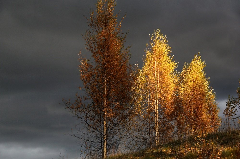 Фотография автора Виктор Крючков