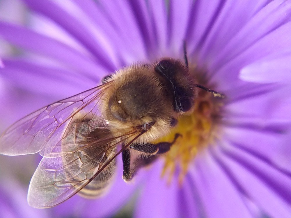Фотография автора Наталья Алексеева