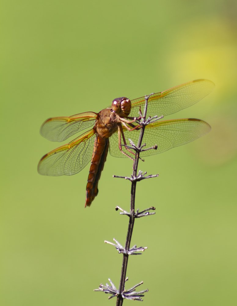 Photograph by Ricardo Sanchez Ruiz