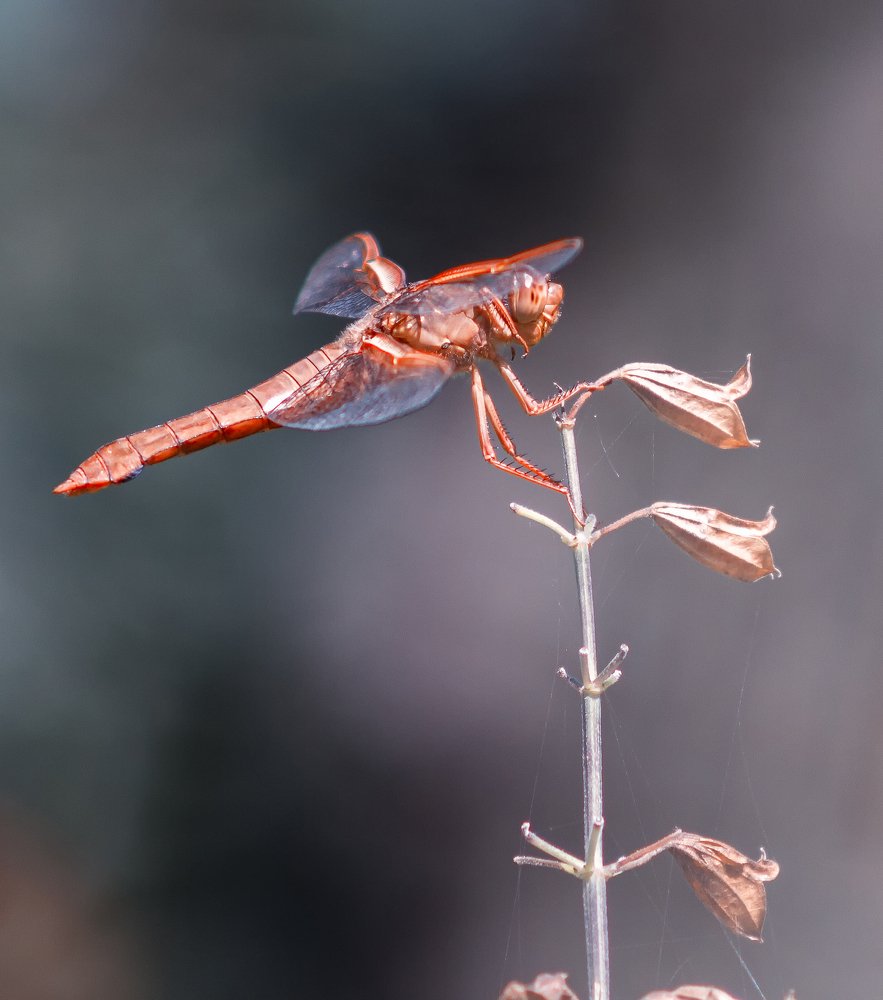 Photograph by Ricardo Sanchez Ruiz