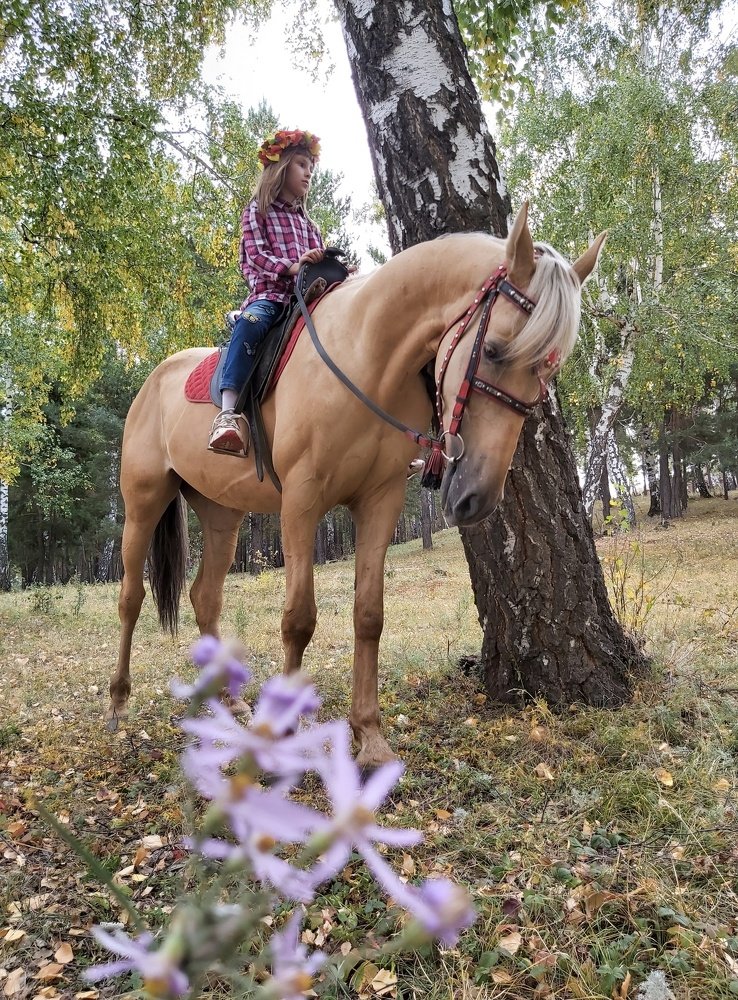 Photograph by Марина Савченко