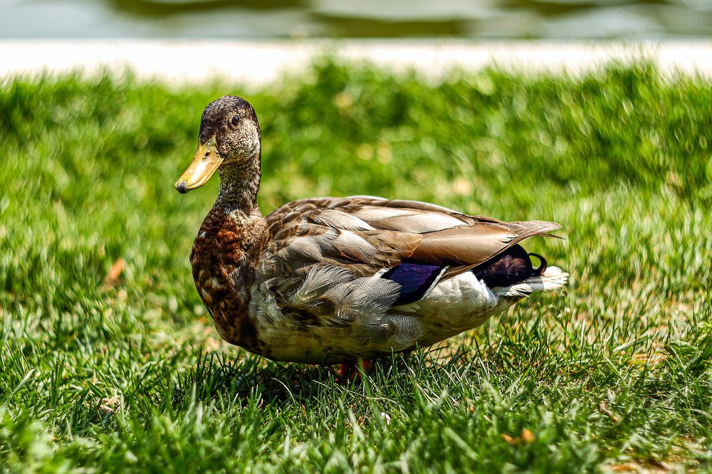 Photograph by Sergey Uskov