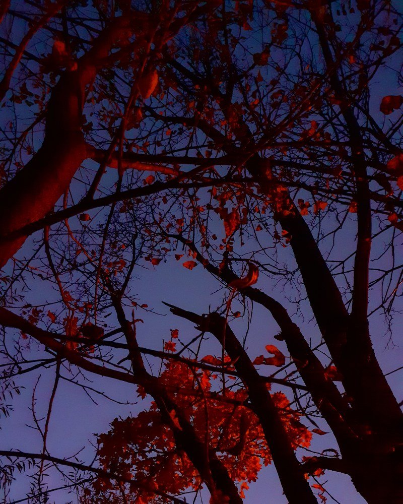 october evening (октябрьский вечер)