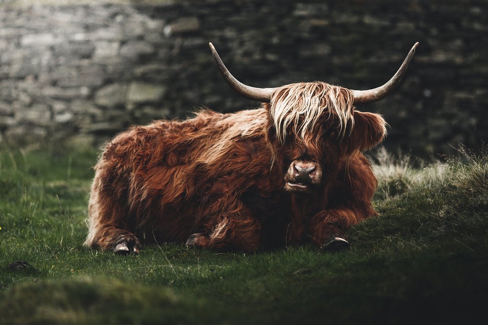 Photograph by R Marshall