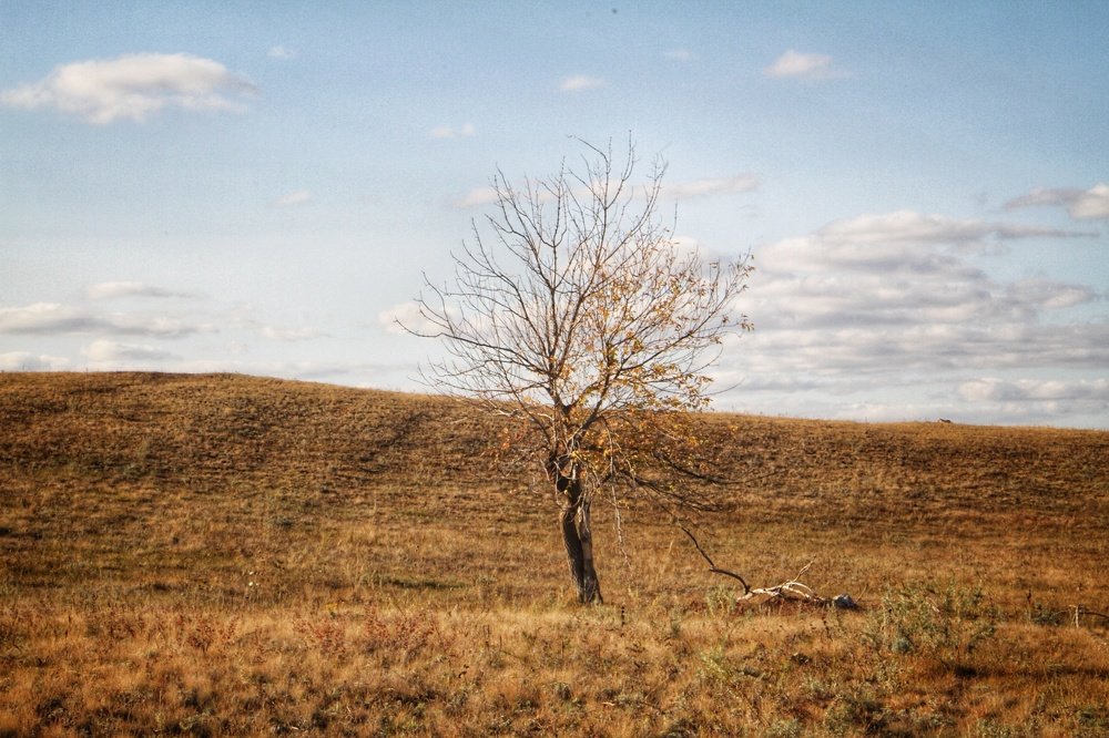 Photograph by Марина Савченко