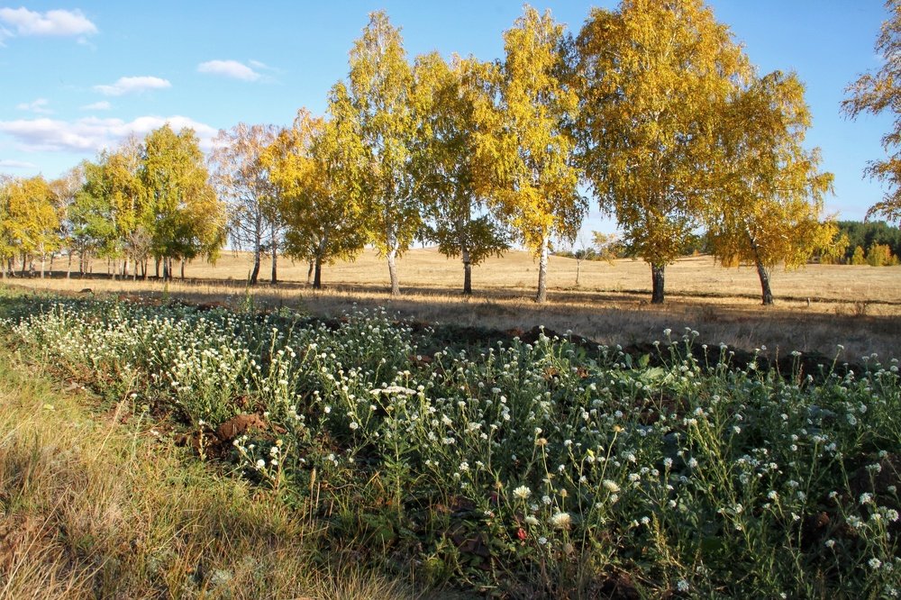 Photograph by Марина Савченко