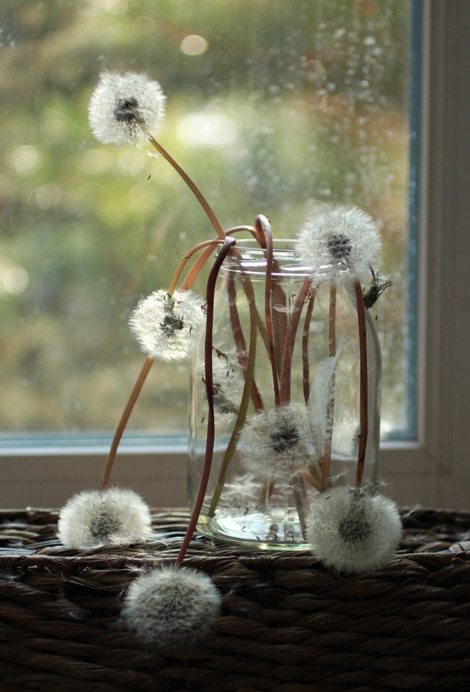 Photograph by Екатерина