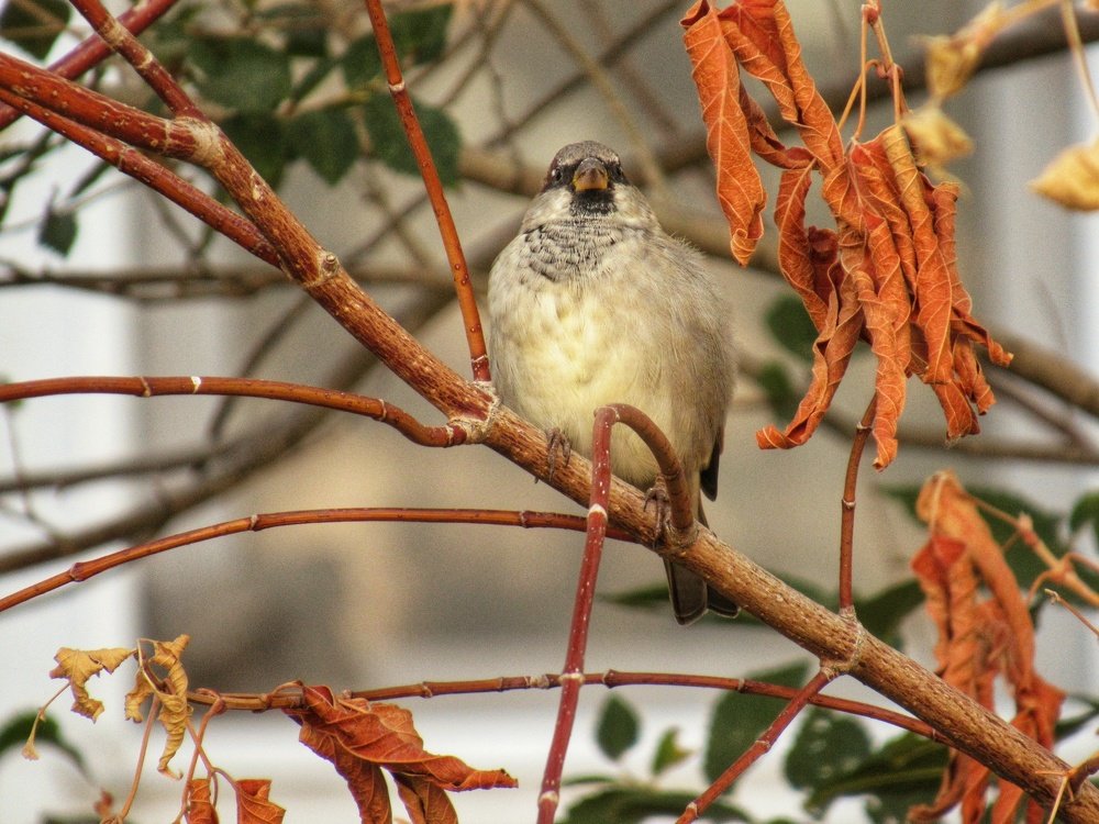 Photograph by Марина Савченко