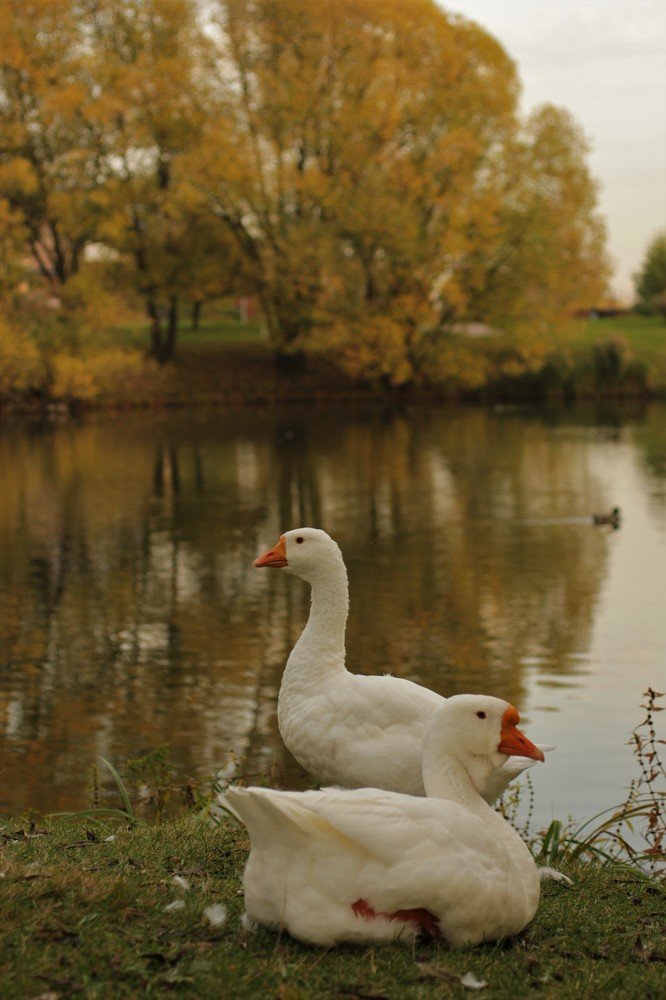 Photograph by Екатерина