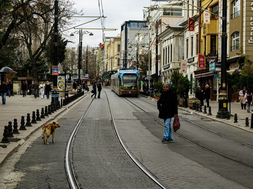 Photograph by Sabah Aljammasi