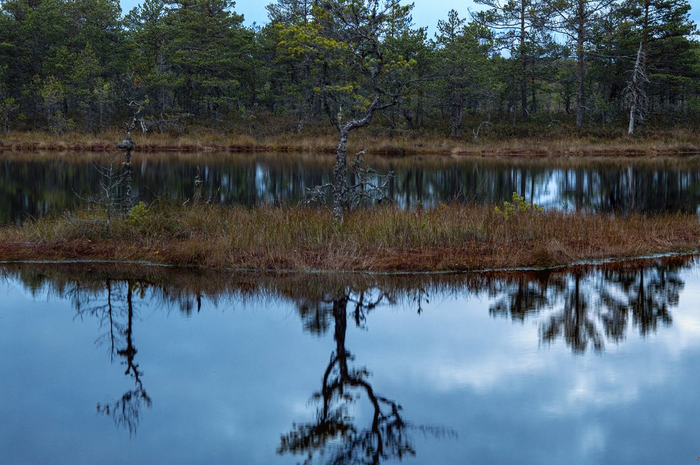 Photograph by Raivo Kremer