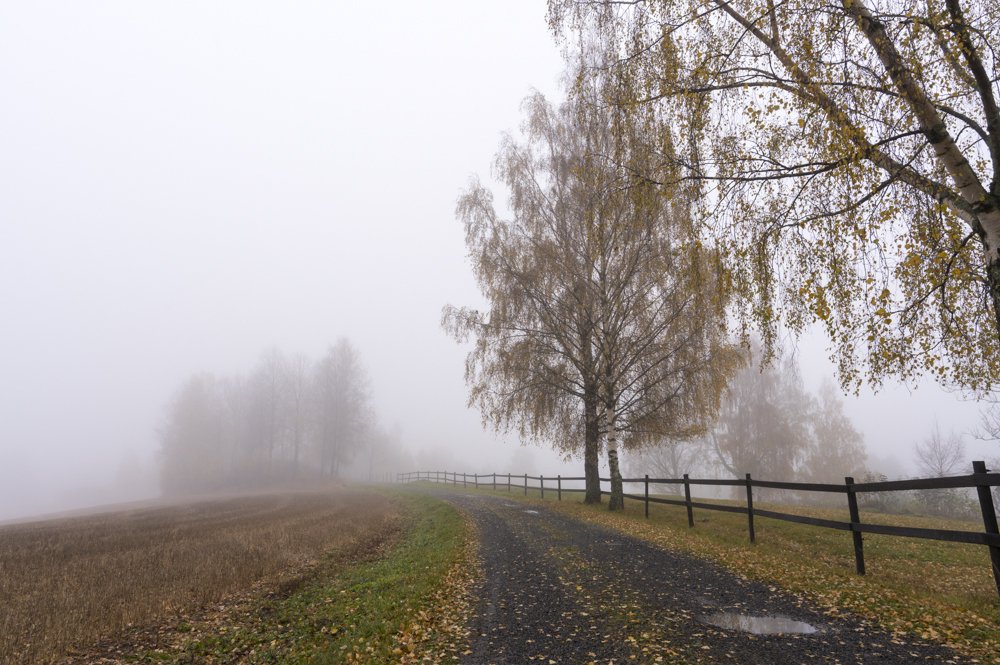 The road too somewhere.