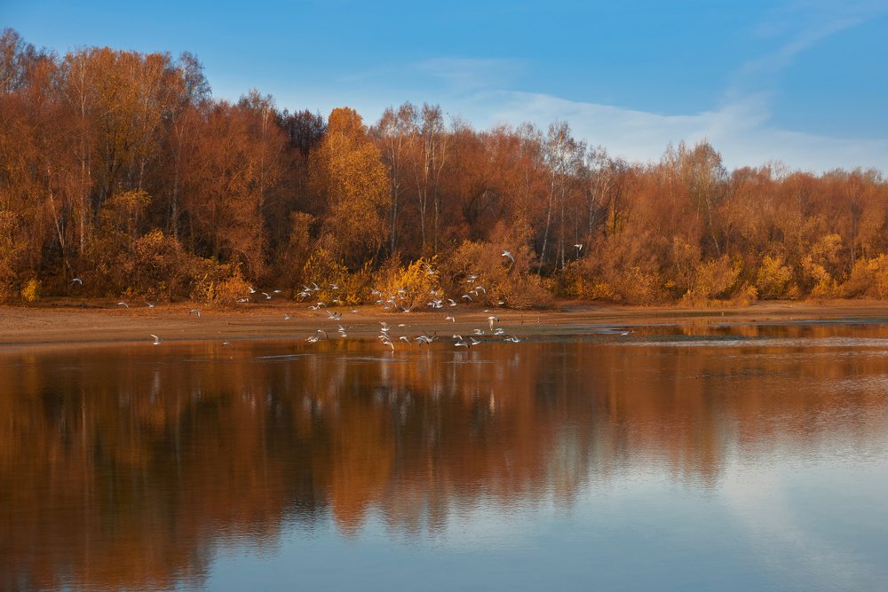 Фотография автора Георгий Муравьёв