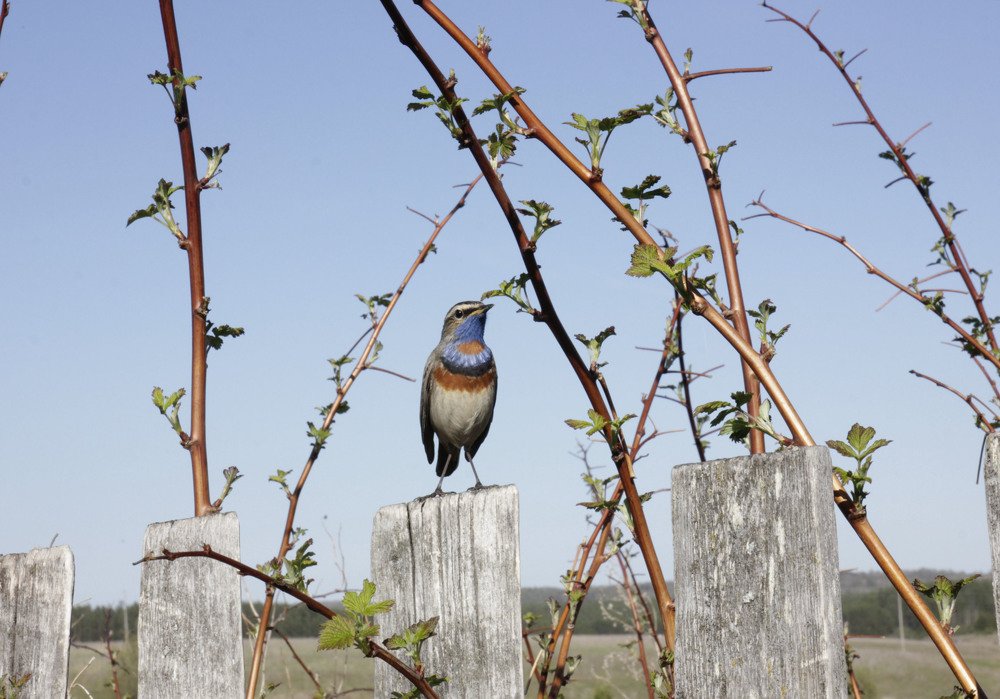 Фотография автора Людмила Иванова