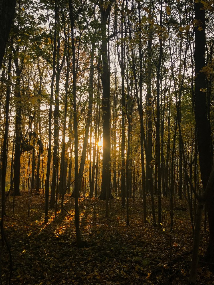Photograph by Анна Грачёва