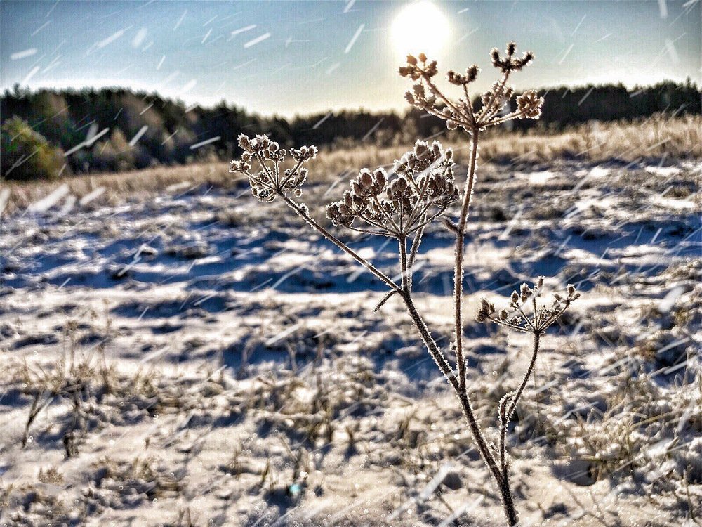 Photograph by Мария Шрейдер