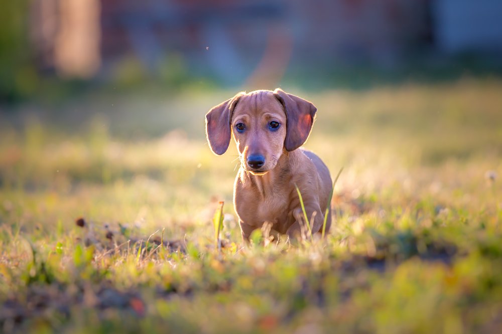 Photograph by Евгения Бочарова