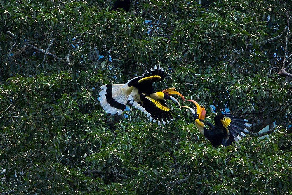 Photograph by Orumanayur Vinod