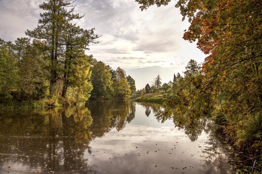 Photograph by sergei