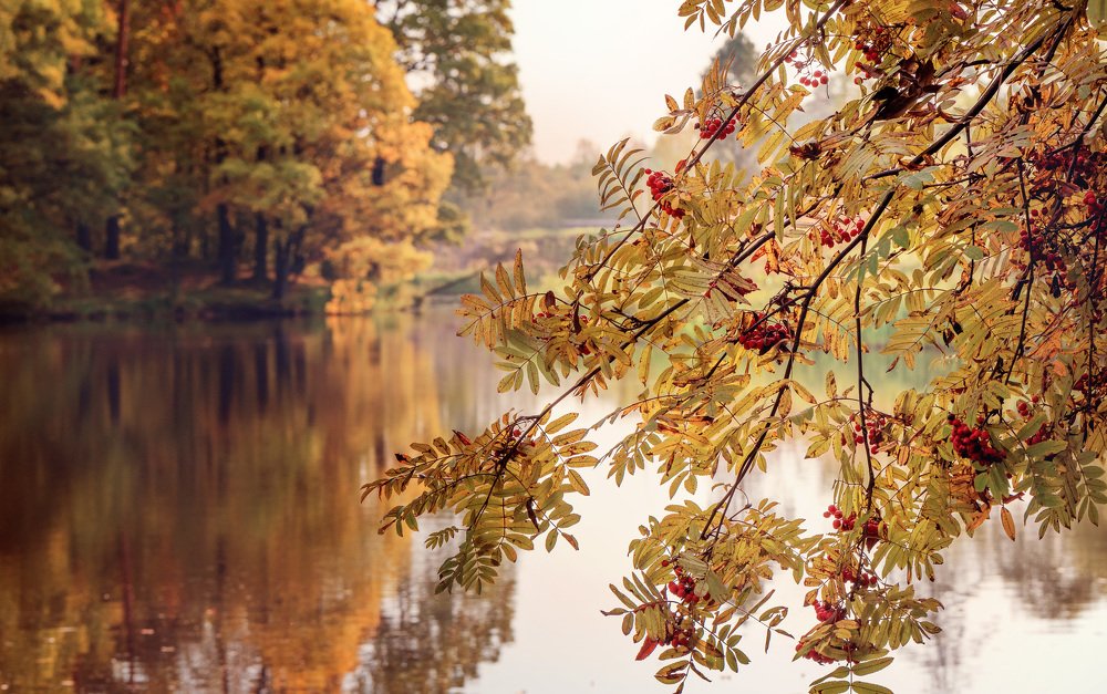 Photograph by sergei