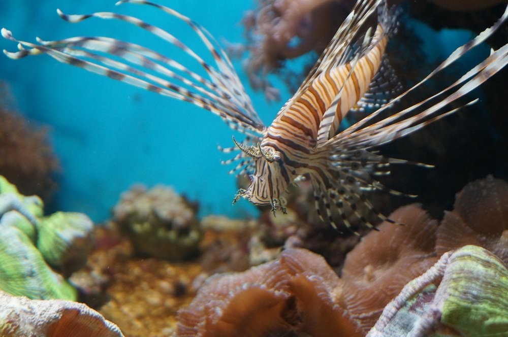 Photograph by Алексей Логинов